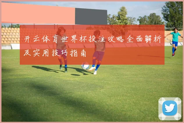 开云体育世界杯投注攻略全面解析及实用技巧指南