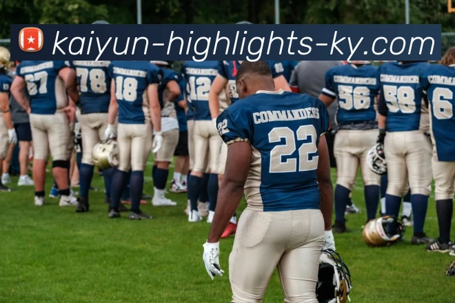 开云平台生态图